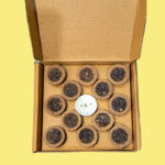 Naturecure Kamdhenu Havan Cups 12 Piece – Sandal Fragrance | Natural Cow Dung Cups - Image 3